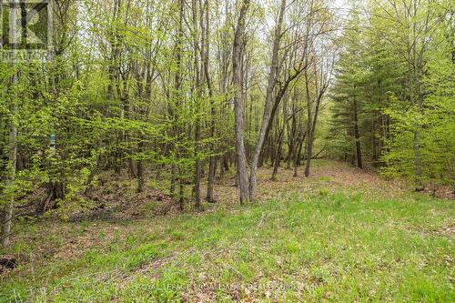 Lot 16 Warrington Lane, Central Frontenac, ON 