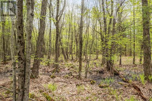 Lot 16 Warrington Lane, Central Frontenac, ON 