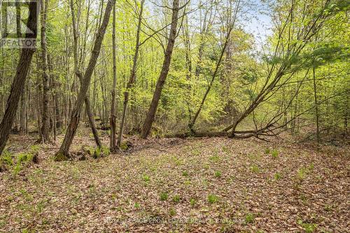 Lot 16 Warrington Lane, Central Frontenac, ON 