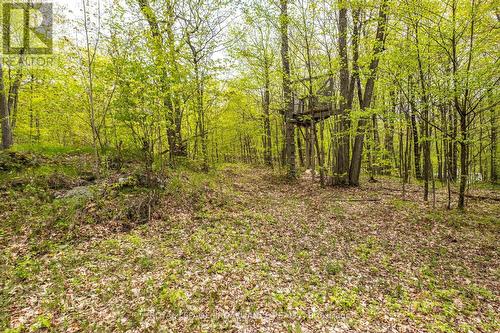 Lot 16 Warrington Lane, Central Frontenac, ON 