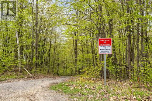 Lot 16 Warrington Lane, Central Frontenac, ON 