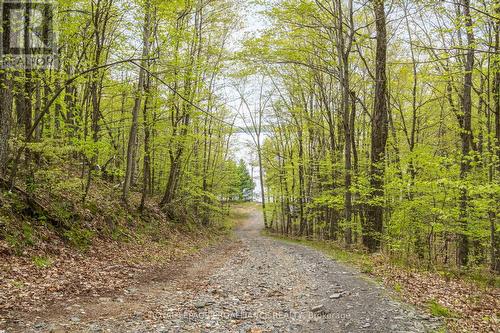 Lot 16 Warrington Lane, Central Frontenac, ON 