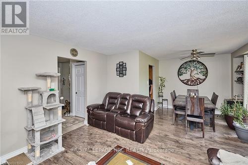 24 Tomahawk Drive, Grimsby, ON - Indoor Photo Showing Living Room