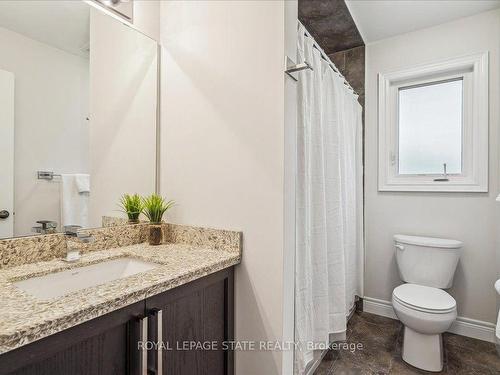 44 Riesling Crt, Hamilton, ON - Indoor Photo Showing Bathroom