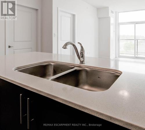 435 - 10 Mallard Trail E, Hamilton, ON - Indoor Photo Showing Kitchen With Double Sink