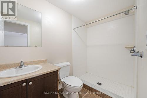 171 Winterberry Boulevard, Thorold, ON - Indoor Photo Showing Bathroom