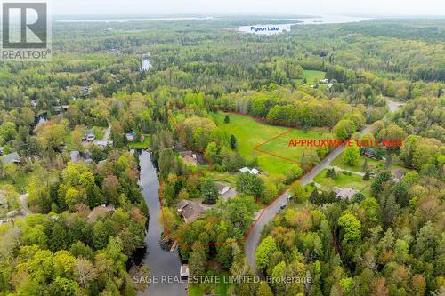 228 Bass Lake Road, Galway-Cavendish And Harvey, ON - Outdoor With View