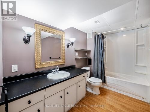 25 Maple Grove Avenue, Richmond Hill, ON - Indoor Photo Showing Bathroom