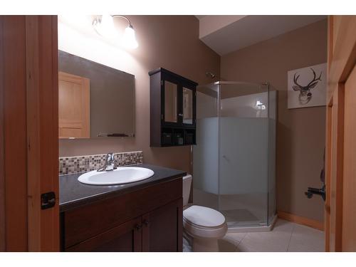 400 Canyon Trail, Fernie, BC - Indoor Photo Showing Bathroom