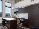 309-770 Fisgard St, Victoria, BC  - Indoor Photo Showing Kitchen With Upgraded Kitchen 