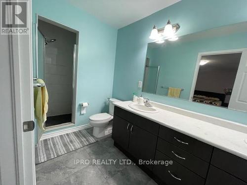 53 Arbourview Crescent, Kitchener, ON - Indoor Photo Showing Bathroom