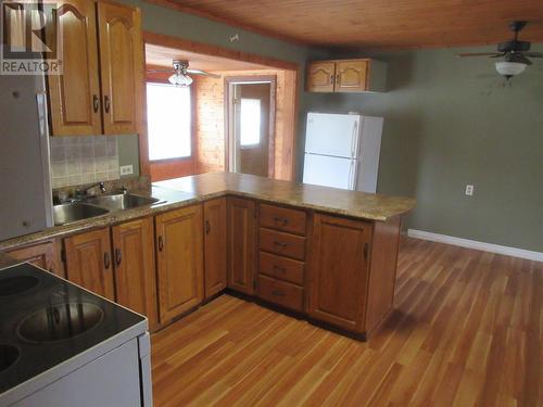 47 Crooked Lake Road, Badger, NL - Indoor Photo Showing Kitchen With Double Sink