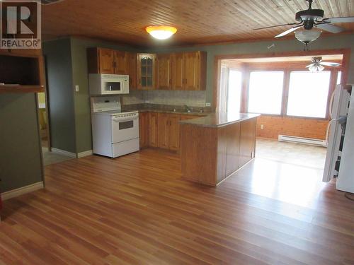 47 Crooked Lake Road, Badger, NL - Indoor Photo Showing Kitchen