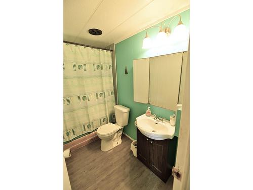 8114 Highway 6, Salmo, BC - Indoor Photo Showing Bathroom