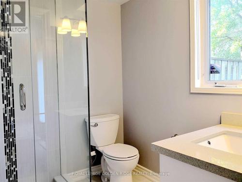 166 Leitchcroft Crescent, Markham, ON - Indoor Photo Showing Bathroom