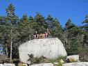 Roger Power Island, Lower Prospect, NS 