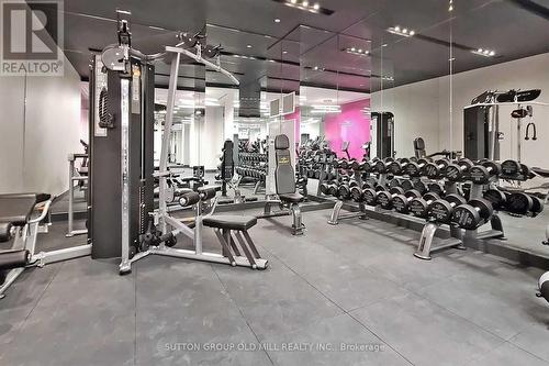 422 - 2301 Danforth Avenue, Toronto, ON - Indoor Photo Showing Gym Room