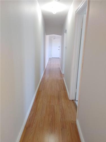 Hallway looking towards living room - 334 Upper Ottawa Street|Unit #Apt. 1, Hamilton, ON - Indoor Photo Showing Other Room