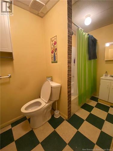 344 Main Street, Hartland, NB - Indoor Photo Showing Bathroom