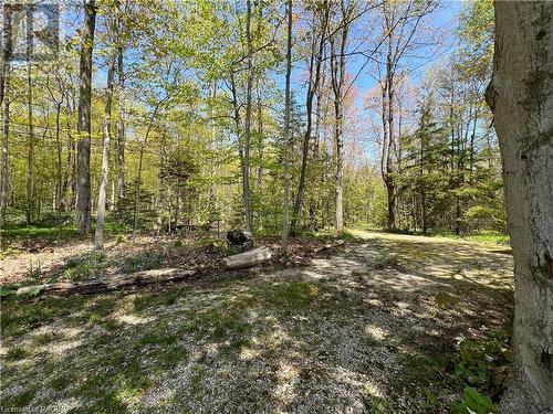 270 Barney'S Boulevard, Northern Bruce Peninsula, ON - Outdoor With View