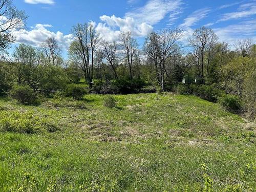 Land/Lot - Rue Albert, Cowansville, QC 