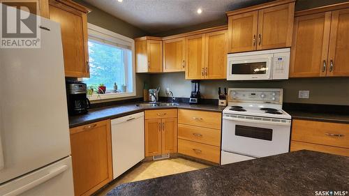 1239 Devonshire Drive, Regina, SK - Indoor Photo Showing Kitchen With Double Sink