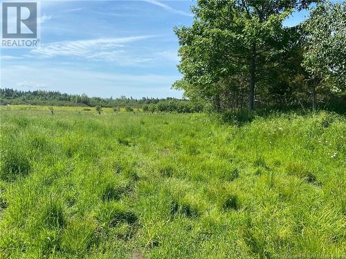 2402 Route 885, Havelock, NB - Outdoor With View