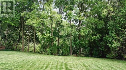 Vacant lot portion of the property. Use to buffer for privacy, built a garage or shed, or sell the lot to build on! - 419 Mechanics Avenue, Kincardine, ON - Outdoor