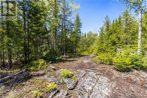 Walking trail beside the property to Matheson Dr. - Parts 34 & 35 Rowsons Road, Tobermory, ON 