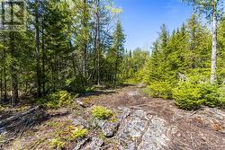 Walking trail beside the property to Matheson Dr. - 