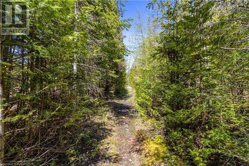 Walking trail beside the property to Matheson Dr. - Parts 34 & 35 Rowsons Road, Tobermory, ON 