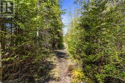 Walking trail beside the property to Matheson Dr. - 