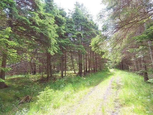 Lot 126 Manfred Prekau Drive, Hay Cove, NS 