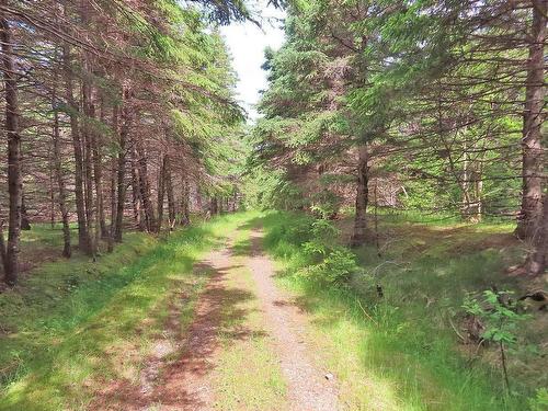 Lot 126 Manfred Prekau Drive, Hay Cove, NS 