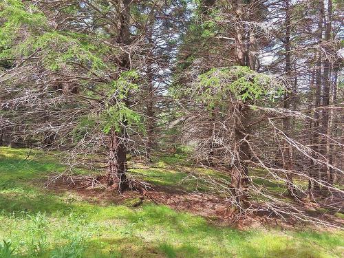 Lot 126 Manfred Prekau Drive, Hay Cove, NS 