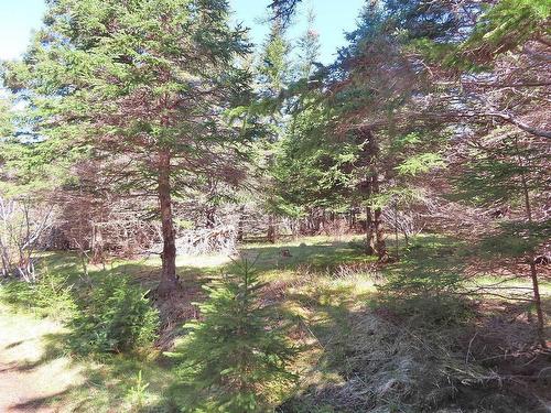 Lot 126 Manfred Prekau Drive, Hay Cove, NS 