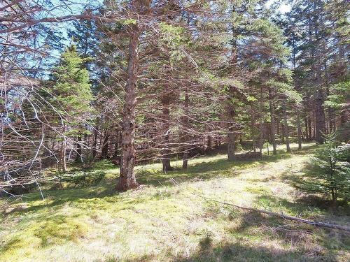 Lot 126 Manfred Prekau Drive, Hay Cove, NS 