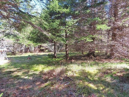 Lot 126 Manfred Prekau Drive, Hay Cove, NS 