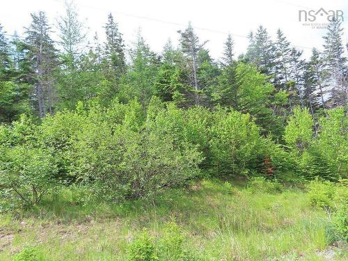 Lot 126 Manfred Prekau Drive, Hay Cove, NS 