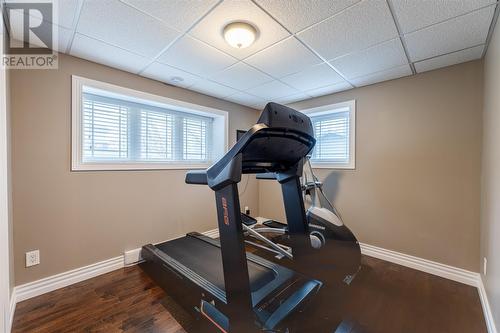 17 Milton Road, Paradise, NL - Indoor Photo Showing Gym Room