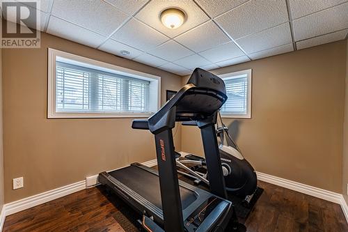 17 Milton Road, Paradise, NL - Indoor Photo Showing Gym Room