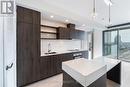 2007 - 16 Bonnycastle Street, Toronto (Waterfront Communities), ON  - Indoor Photo Showing Kitchen With Upgraded Kitchen 