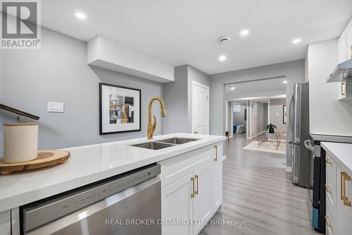 50 Pearl Street, Brantford, ON - Indoor Photo Showing Kitchen With Double Sink