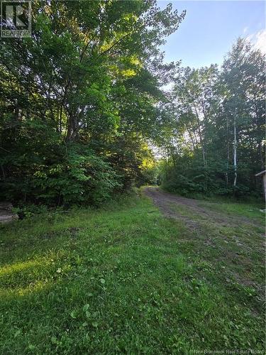 Lot Whitcomb Lane, Upper Gagetown, NB 