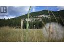 Lot A Tuktakamin Road, Falkland, BC 