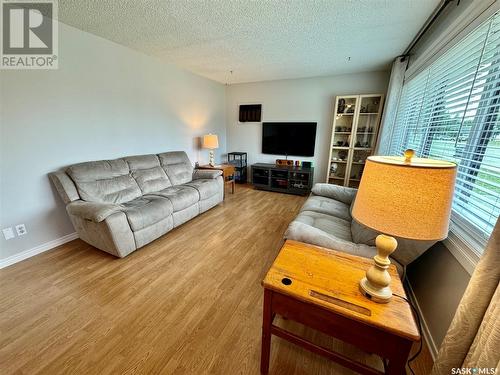 235 Patrick Street, Springside, SK - Indoor Photo Showing Living Room