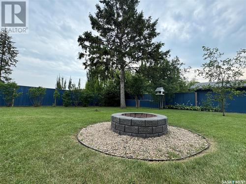 235 Patrick Street, Springside, SK - Outdoor With Backyard