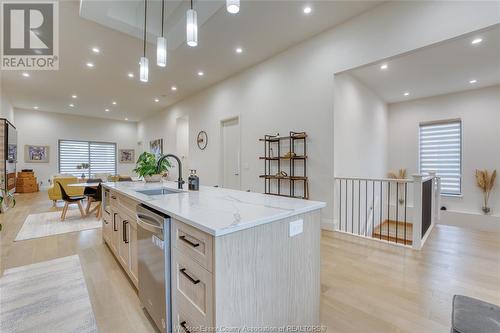 566 Lily Mac, Windsor, ON - Indoor Photo Showing Kitchen With Upgraded Kitchen