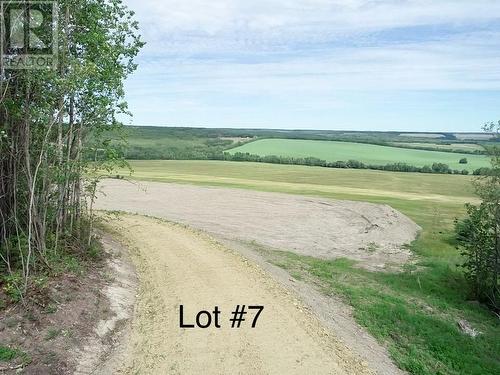 On 206 Road Lot# Lot 7, Dawson Creek, BC 