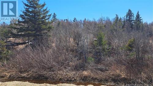 8.9Hec-1 Rue Acadie, Grande-Anse, NB 